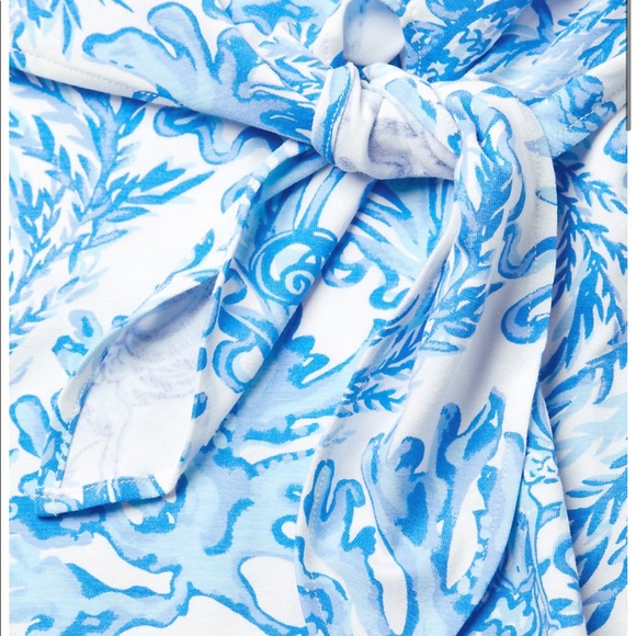 Lilly Pulitzer Inka Resort Dress - Picture 8 of 9